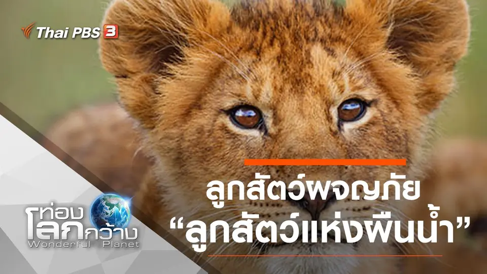 ท่องโลกกว้าง