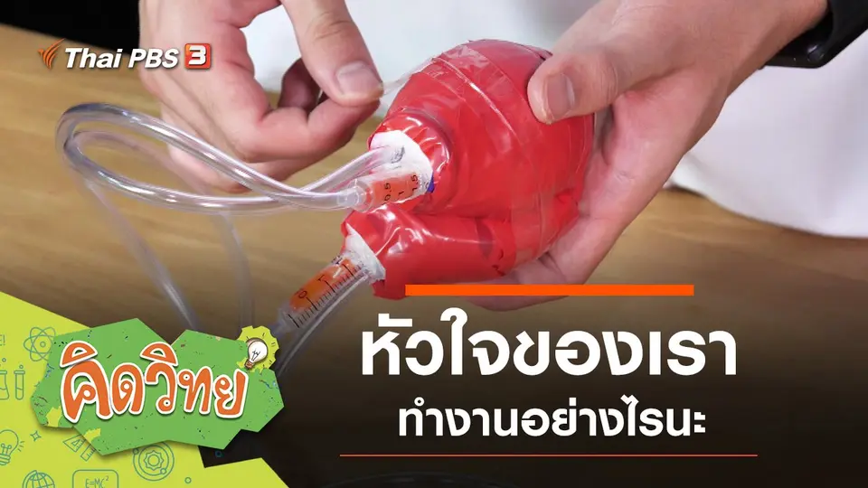 หัวใจของเรา