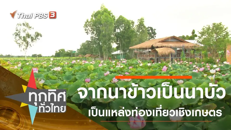 ทุกทิศทั่วไทย