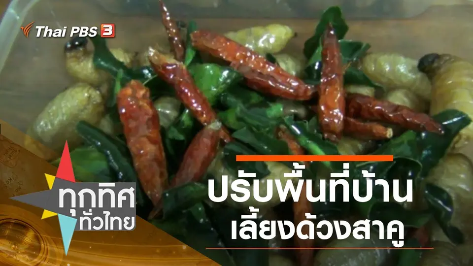 ทุกทิศทั่วไทย