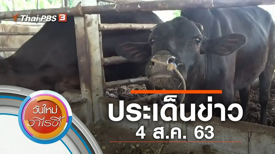 วันใหม่วาไรตี้