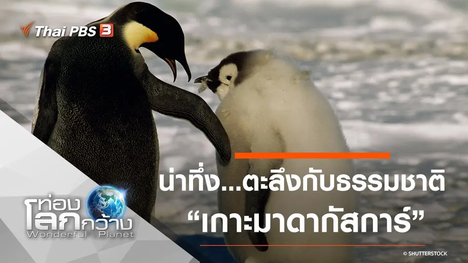ท่องโลกกว้าง