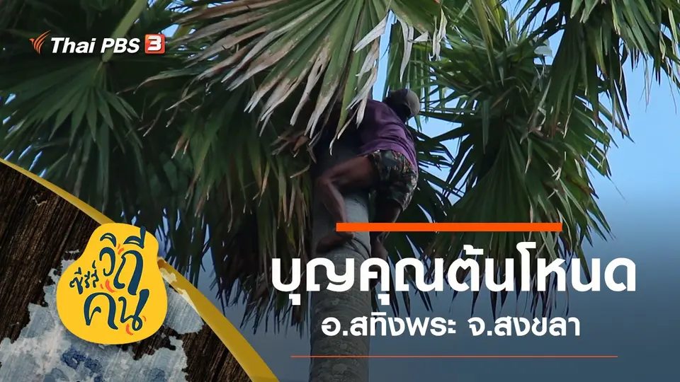 ซีรีส์วิถีคน