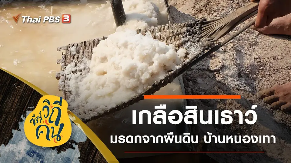 ซีรีส์วิถีคน