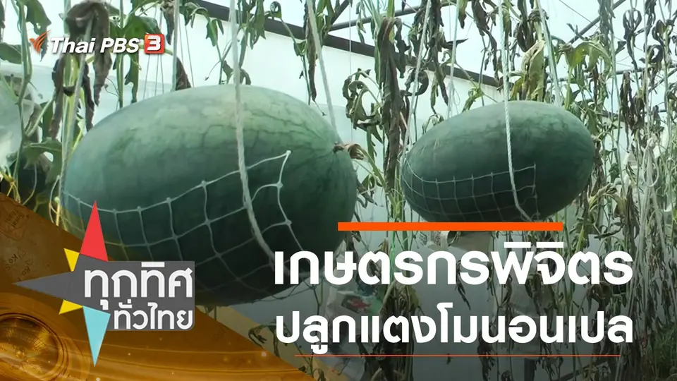 ประเด็นข่าว (11 ส.ค. 63)