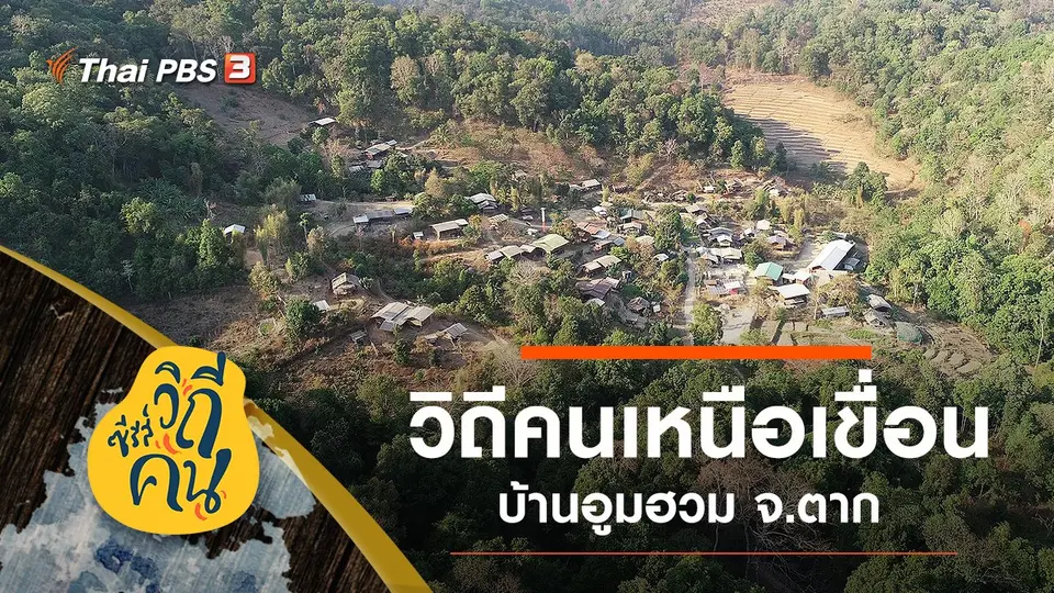 ซีรีส์วิถีคน