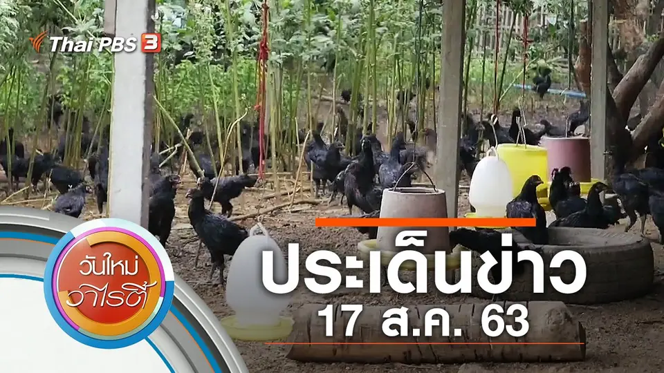 วันใหม่วาไรตี้