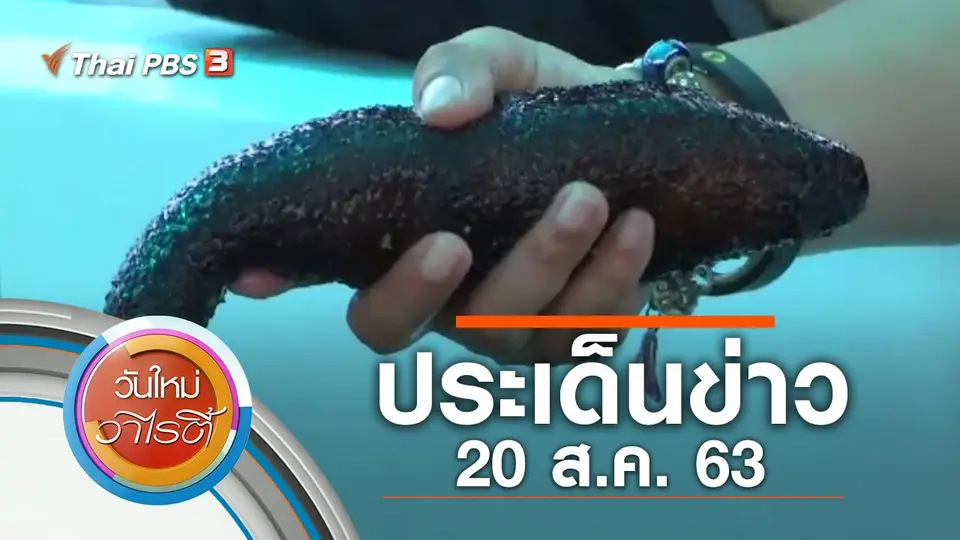 วันใหม่วาไรตี้