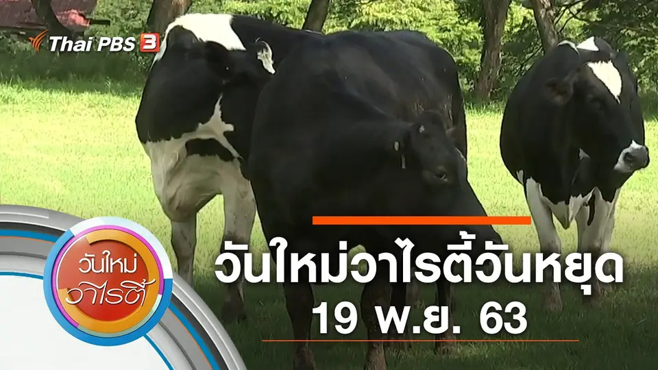 วันใหม่วาไรตี้