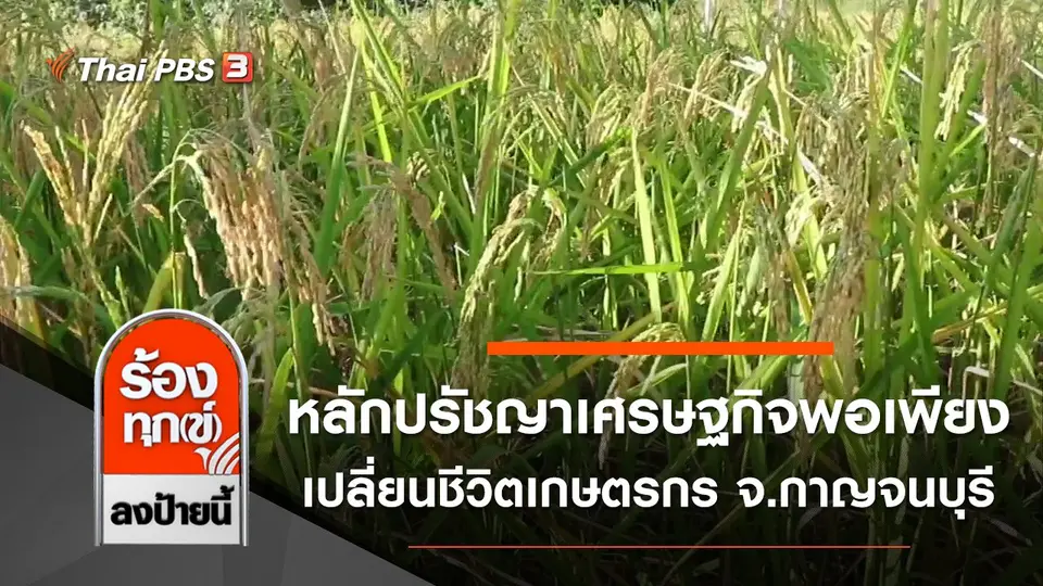 หลักปรัชญาเศรษฐกิจพอเพียงเปลี่ยนชีวิตเกษตรกร จ.กาญจนบุรี
