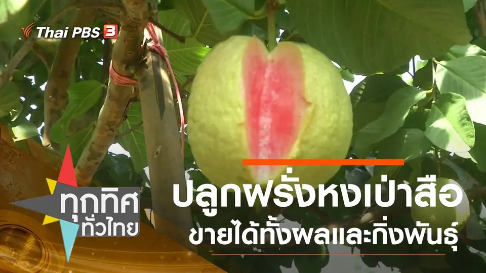 ประเด็นข่าว (2 ธ.ค. 63)