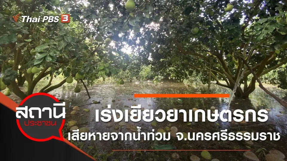 รายการพิเศษ “วิกฤตน้ำท่วมใต้”