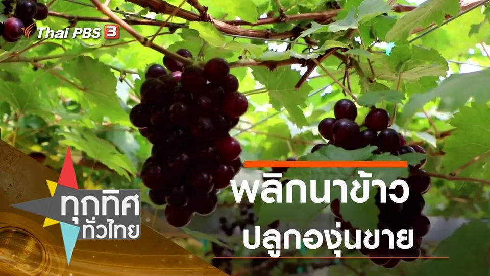 ประเด็นข่าว (9 ธ.ค. 63)