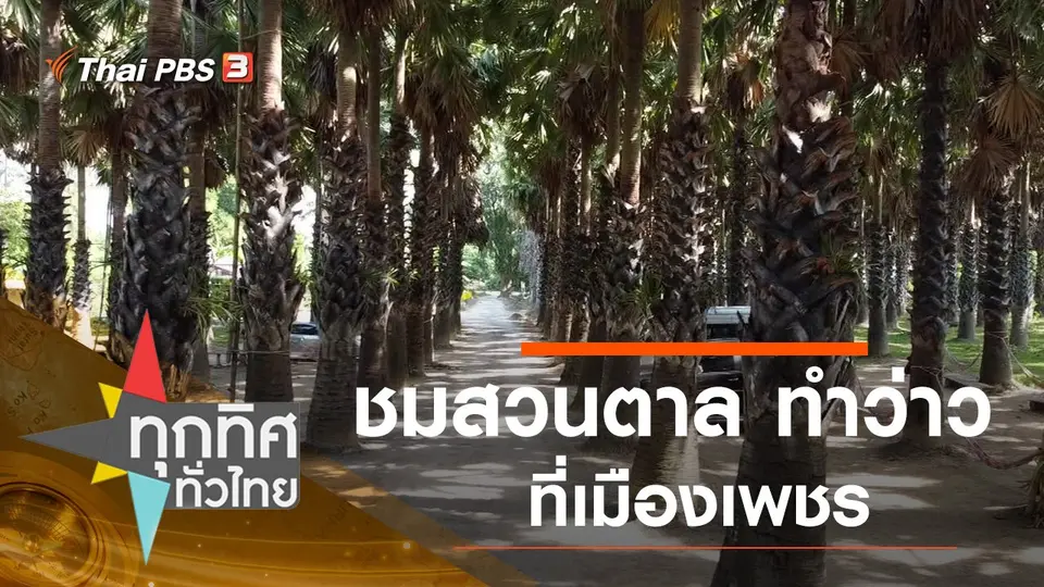 ทุกทิศทั่วไทย