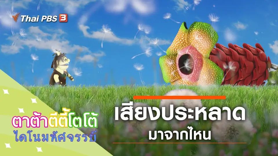 เสียงประหลาดมาจากไหน