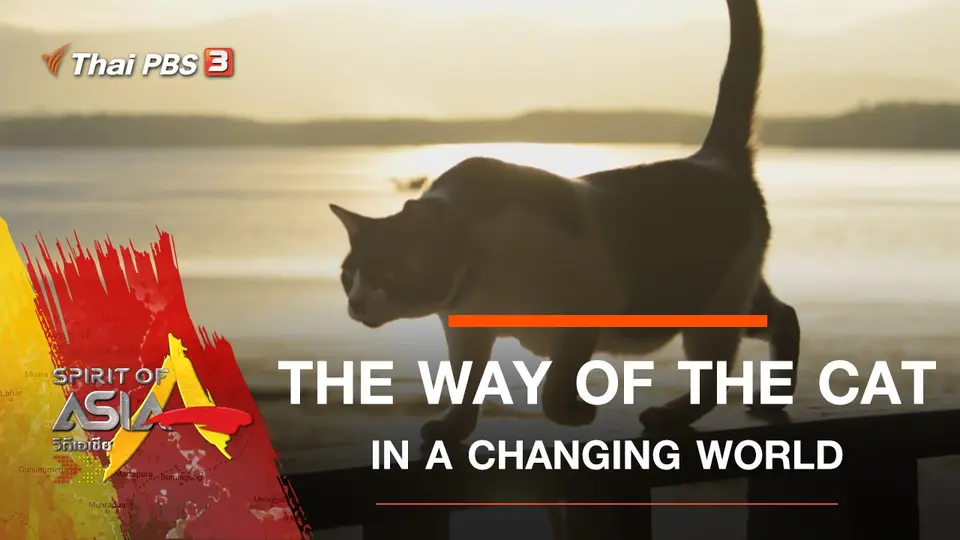 THE WAY OF THE CAT IN A CHANGING WORLD