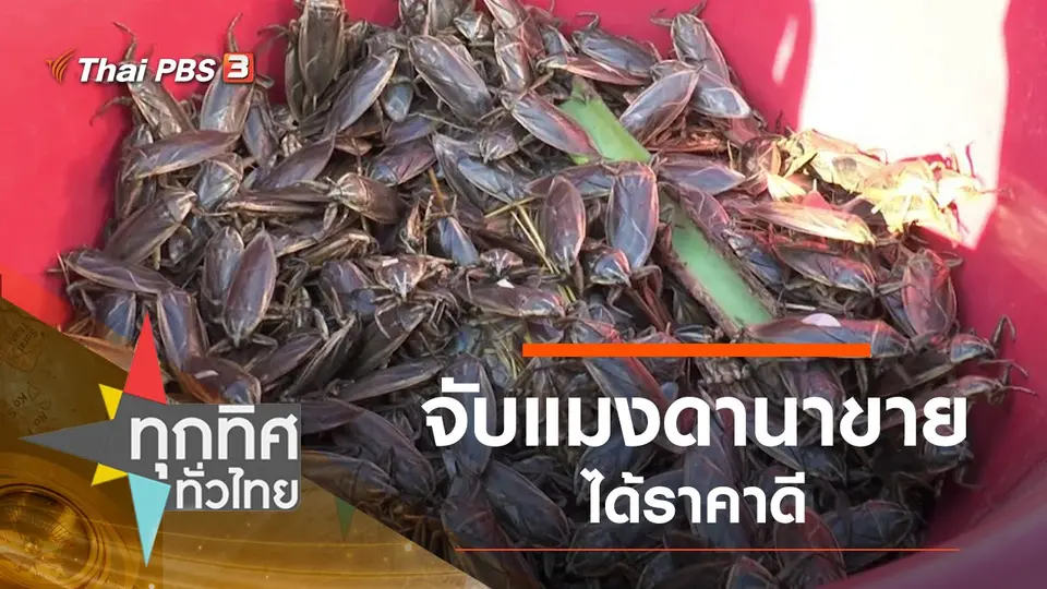 ประเด็นข่าว (8 ม.ค. 64)