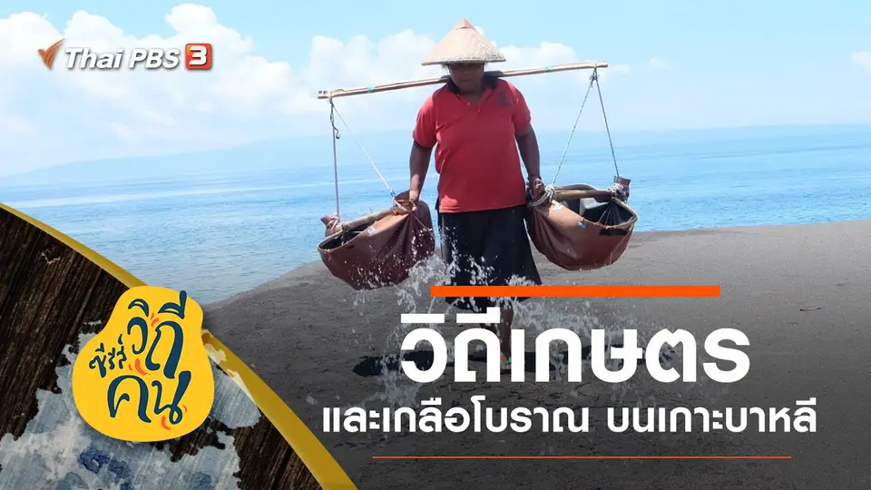 ซีรีส์วิถีคน
