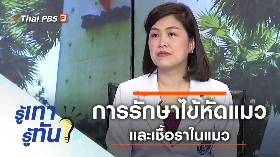 ไข้หัดแมวระบาดป้องกันอย่างไร และอาการเชื้อราในแมว ใช้ขมิ้นทารักษาได้จริงหรือ ?