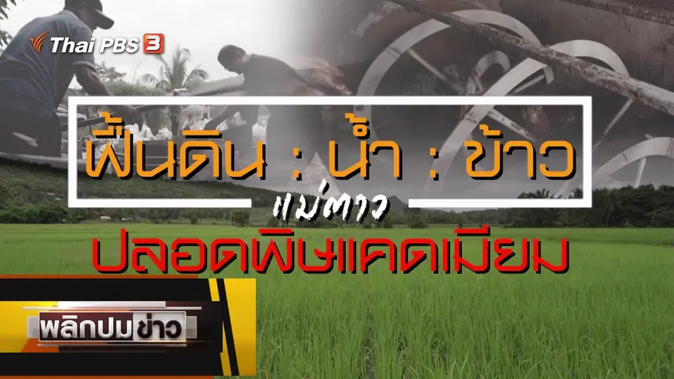 ฟื้นดิน : น้ำ : ข้าว แม่ตาว ปลอดพิษแคดเมียม