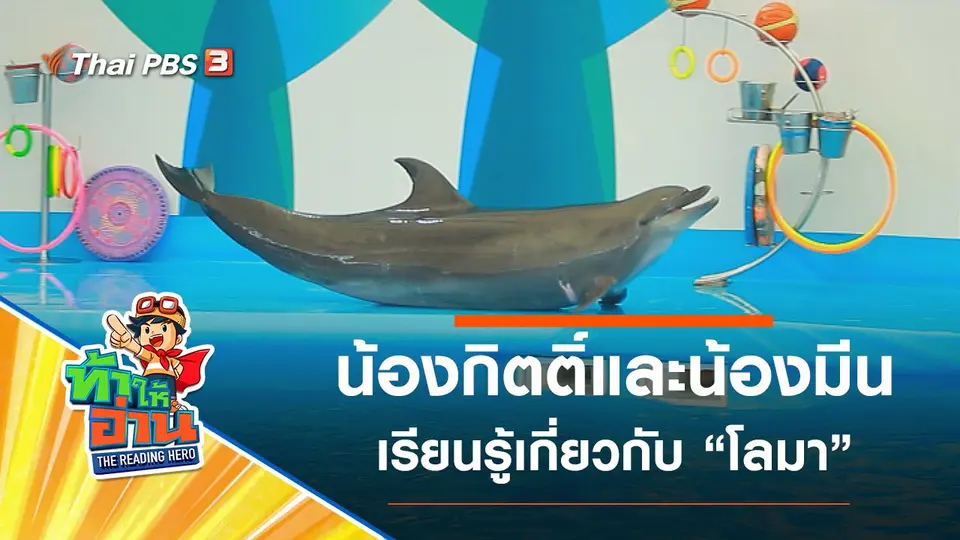 โลมา : น้องกิตติ์และน้องมีน