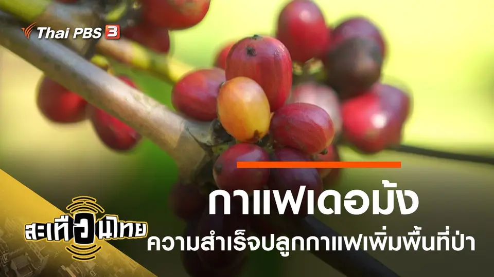 กาแฟเดอม้ง