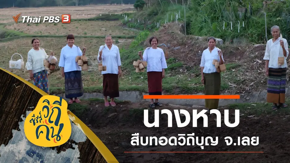 ซีรีส์วิถีคน