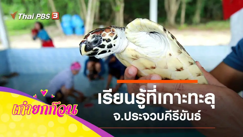 วัยเก๋าเรียนรู้ที่เกาะทะลุ จ.ประจวบคีรีขันธ์