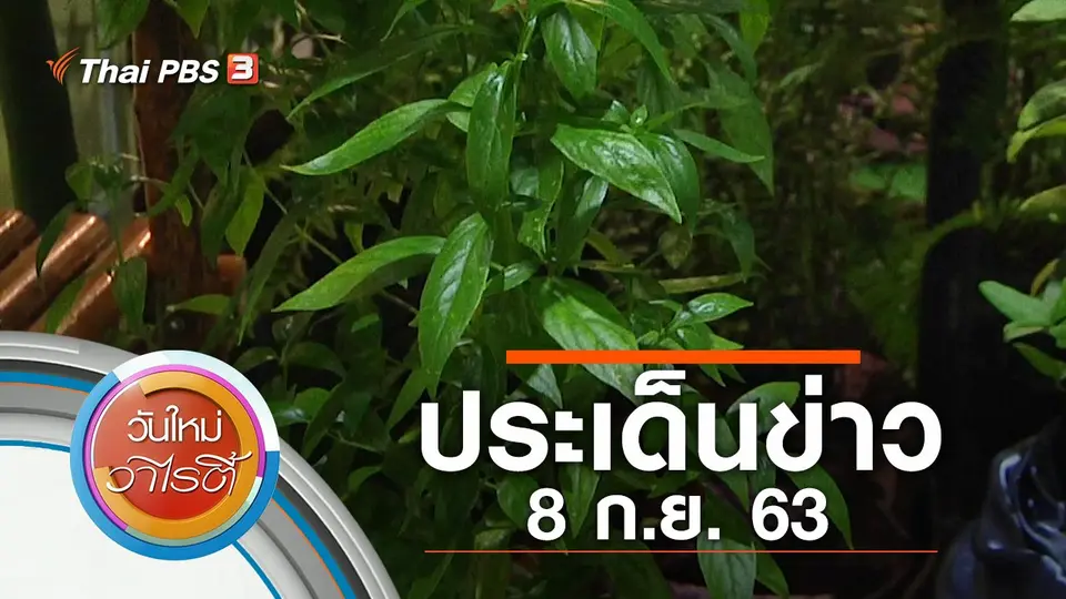 วันใหม่วาไรตี้