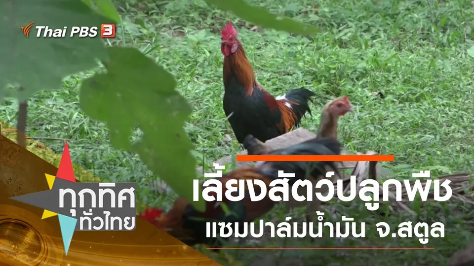 ประเด็นข่าว (9 ก.ย. 63)