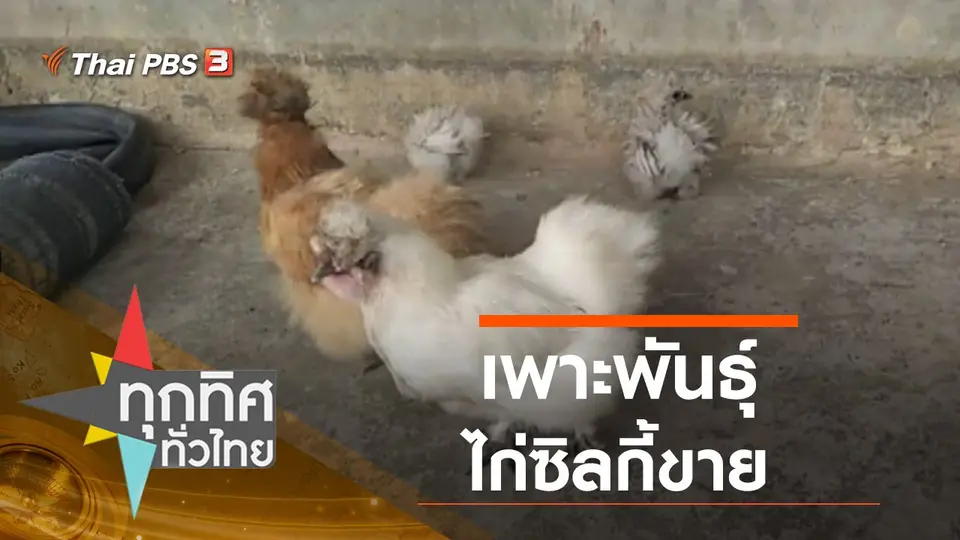 ประเด็นข่าว (15 ก.ย. 63)