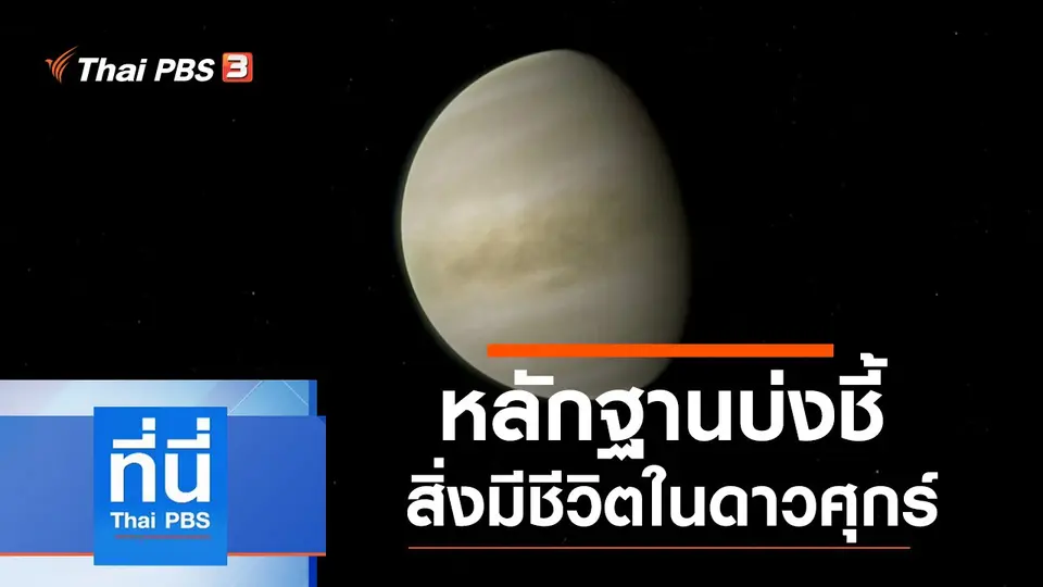 ที่นี่ Thai PBS