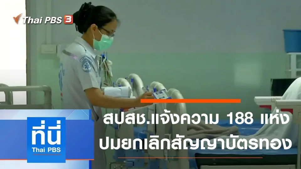 ที่นี่ Thai PBS