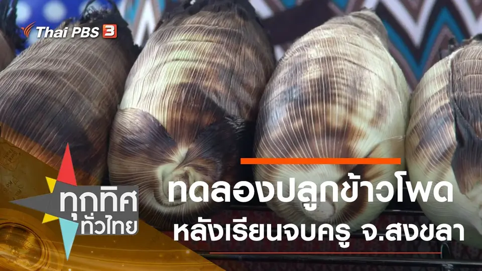 ประเด็นข่าว (21 ก.ย. 63)