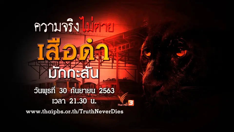 เสือดำมักกะสัน