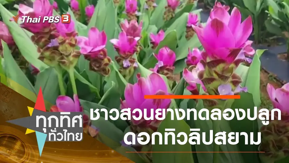 ประเด็นข่าว (2 ต.ค. 63)