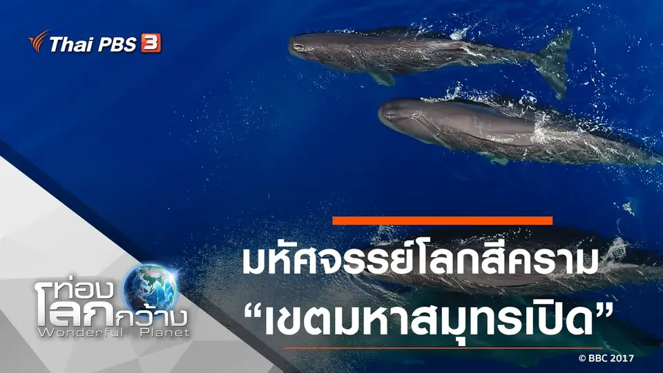 ท่องโลกกว้าง