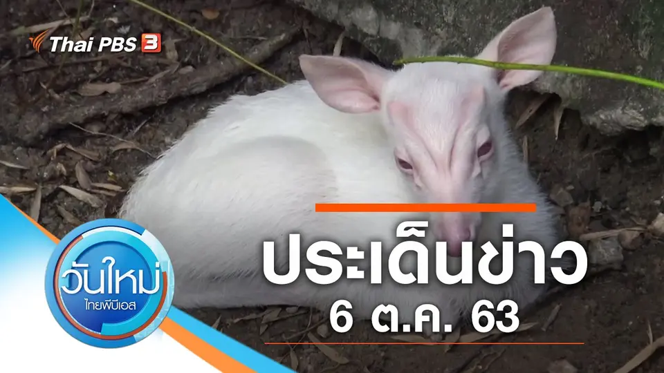 วันใหม่  ไทยพีบีเอส