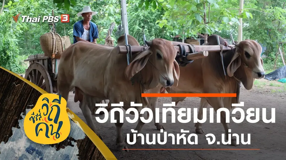ซีรีส์วิถีคน