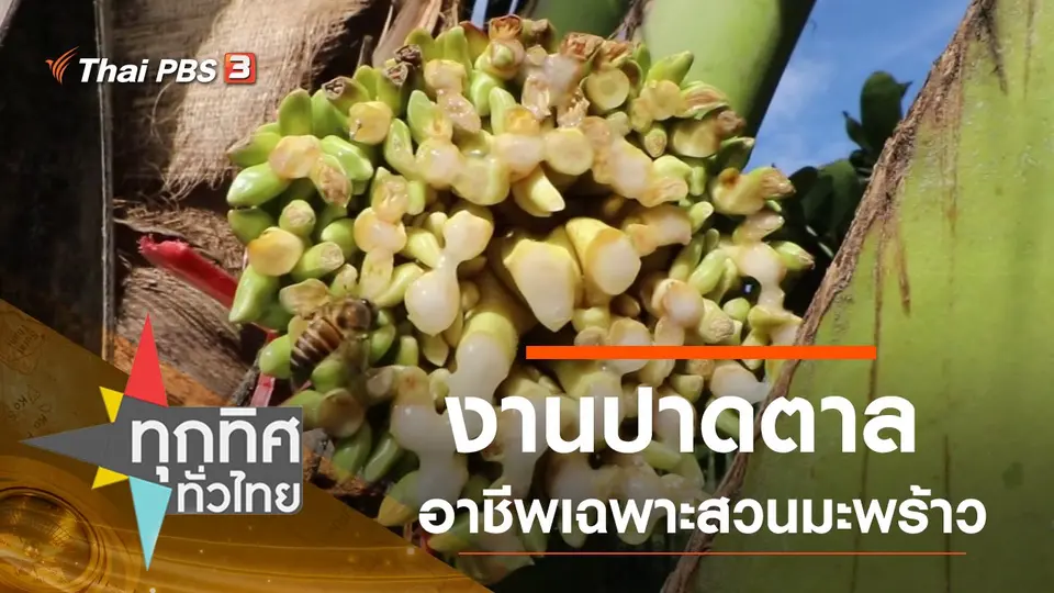 ประเด็นข่าว (16 ต.ค. 63)