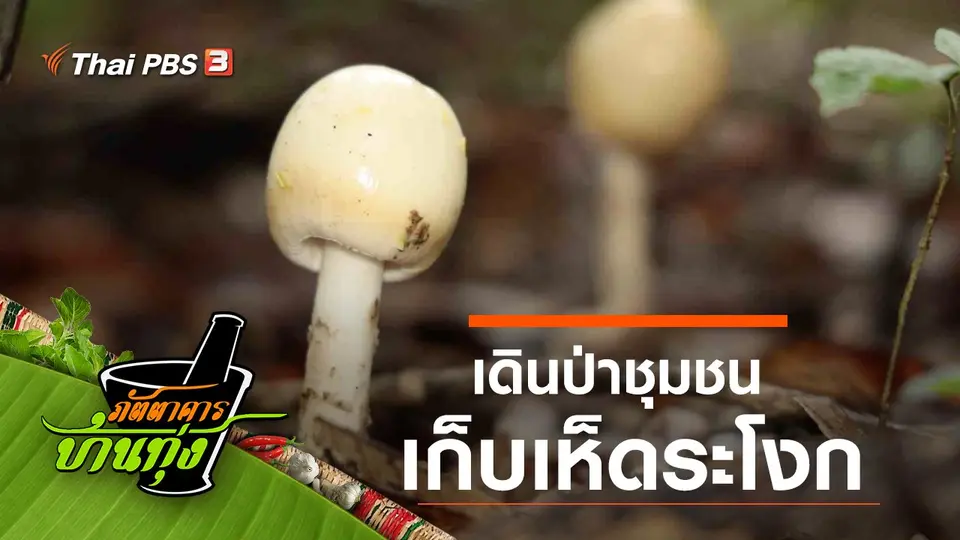 เห็ดระโงก