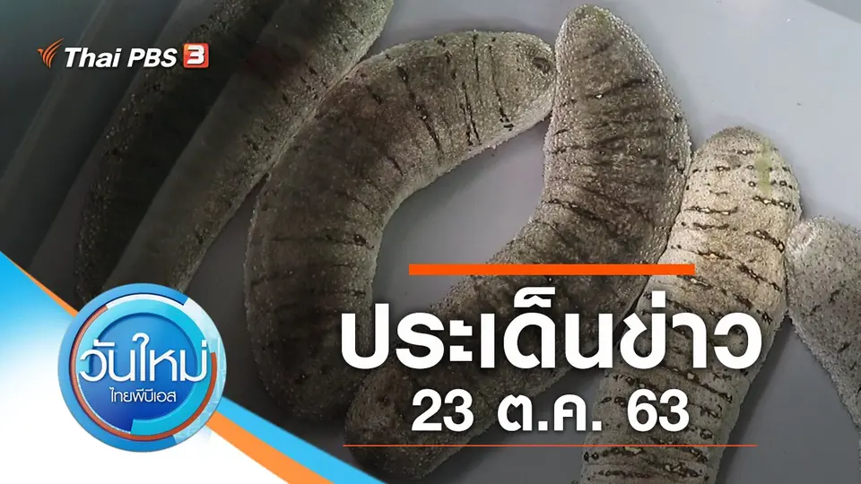 วันใหม่  ไทยพีบีเอส