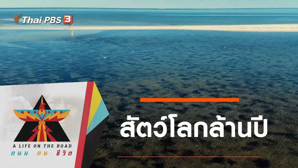 สัตว์โลกล้านปี