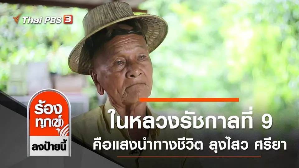 ในหลวงรัชกาลที่ 9 คือแสงนำทางชีวิต ลุงไสว ศรียา