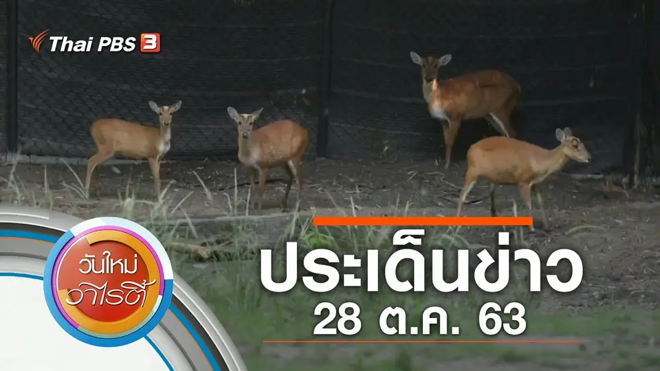 วันใหม่วาไรตี้