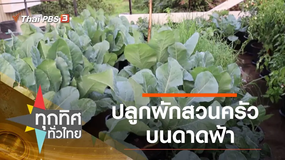 ประเด็นข่าว (15 ม.ค. 64)