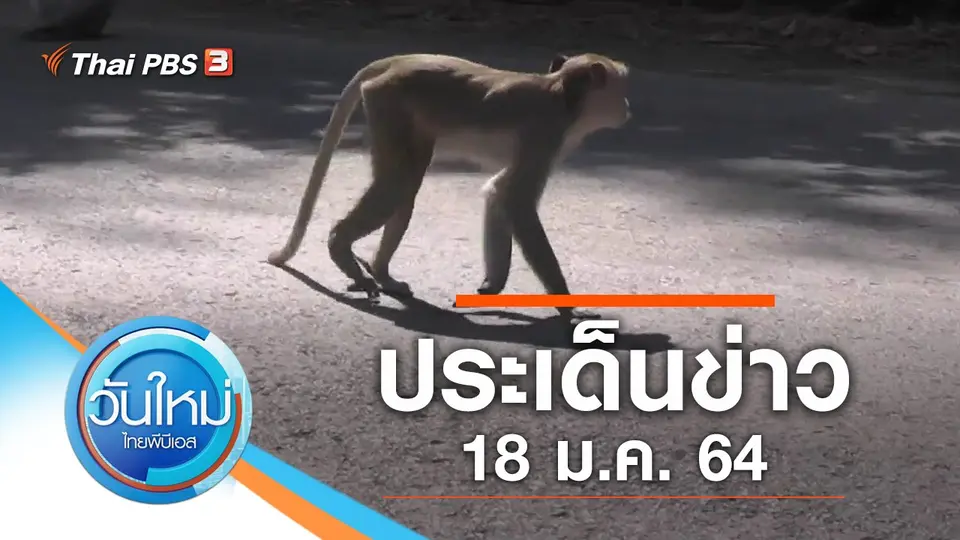 วันใหม่  ไทยพีบีเอส