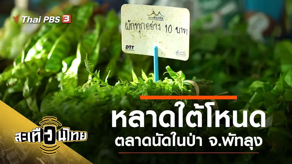 สะเทือนไทย