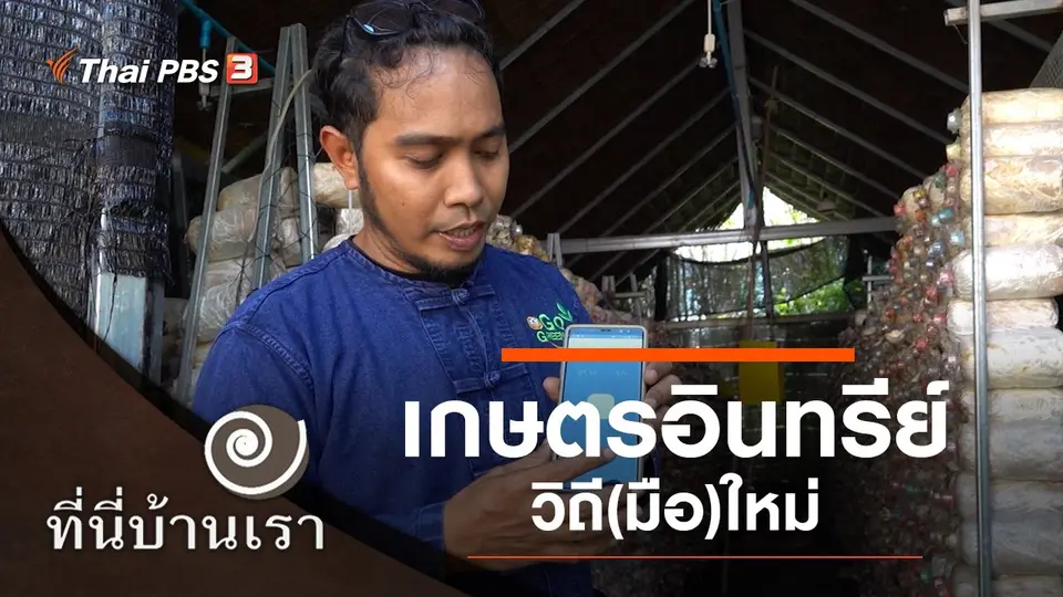 เกษตรอินทรีย์ วิถี(มือ)ใหม่