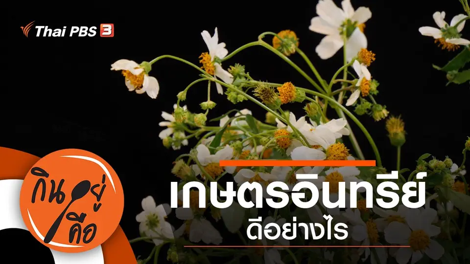 เกษตรอินทรีย์ดีอย่างไร